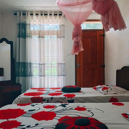 Pleasure Mount Homestay Ella Exterior foto